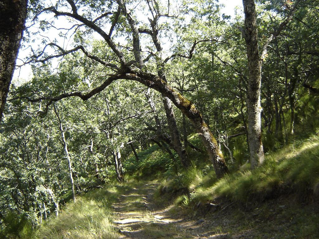 Carriles Romanos Odollo Buitenkant foto