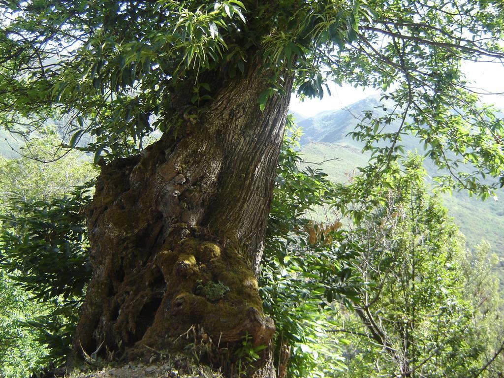Carriles Romanos Odollo Buitenkant foto