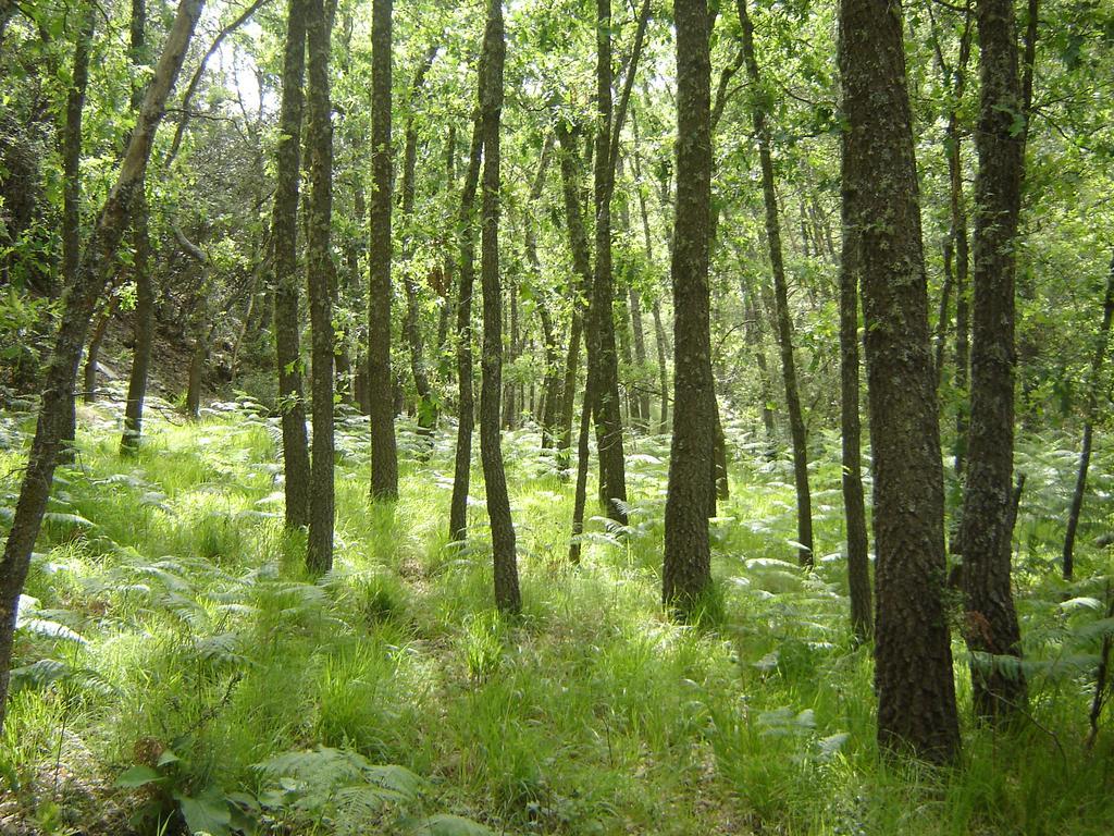 Carriles Romanos Odollo Buitenkant foto